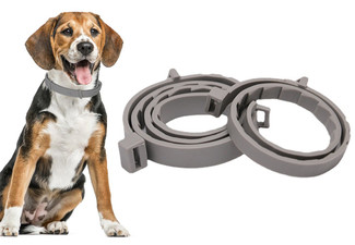 Two-Piece Adjustable Pet Flea Collar - Two Options Available