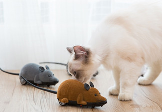 Electronic Mouse Pet Toy - Three Colours Available & Option for Two-Pack