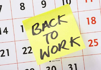 Back to Work 30-Course Online Bundle
