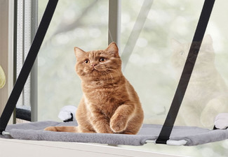 Suction Cup Cat Window Hammock - Option for Double Layer
