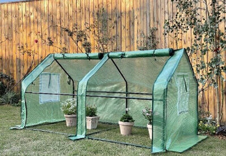 Tunnel Garden Greenhouse with Window