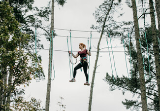 One Adult or Child Admission to The Stix Ultimate Tree Climb - Valid Friday to Sunday