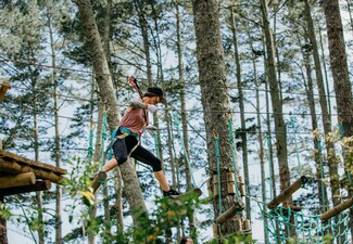 One Adult or Child Admission to Adrenalin Forest Park Christchurch - Valid Thursday to Sunday