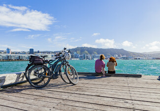 The Ultimate Wellington Bays & Petone Full-Day eBike Adventure - Options for Two & Four People