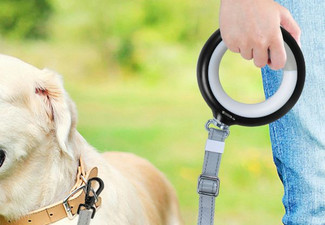 PaWz Extendable LED Dog Leash - Two Colours Available