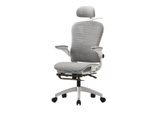 4D Adjustable Ergonomic Office Chair with Foot Support