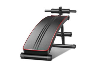 Two-in-One Abs Twister Trainer