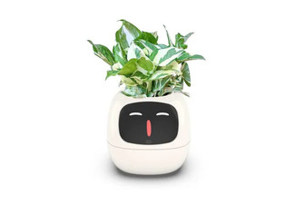 Smart Flowerpot