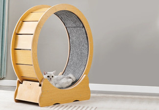 Wood Treadmill for Cats - Two Sizes Available