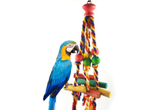 Bird Chewing Toy