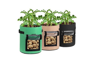 Two Potato Grow Bags with Transparent Window - Three Colours Available - Option for Seven or Ten Gallon Bags