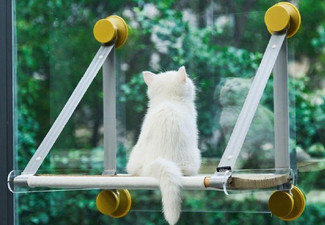 PIDAN Cat Window Perch - Elsewhere Pricing $149.90