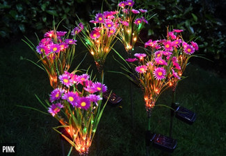 Solar Wildflower Lamp - Two Colours Available