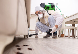 Inside or Outside Pest Control Service - Options for Three to Five Bedroom Homes