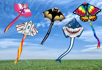 Kids Huge Delta Kite with Tail - Five Options Available