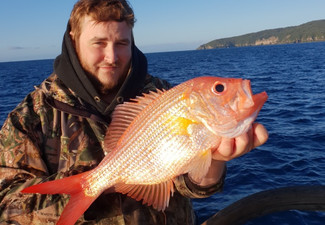 Bay of Plenty Fishing Excursion incl. Rod, Equip Hire & Bait for Two People - Option for up to Six People or One Extra Person