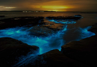 Auckland Bioluminescence Kayak Tour for One Person - Options for up to Four People