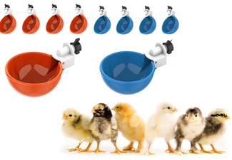 Five-Piece Automatic Chicken Waterer Cup - Available in Two Colours & Option for 10-Piece