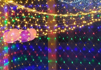 Solar Powered Fairy Net Light - Four Colours Available