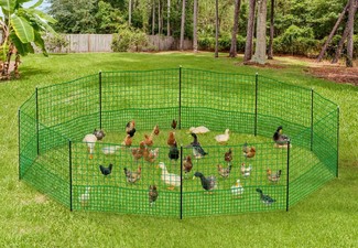 Chicken Fence - Two Sizes Available