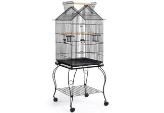 Bird Cage with Two Perches