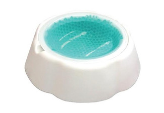 Cooling Pet Water Bowl
