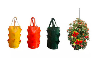 Strawberry Grow Bag Hanging Planter - Option for Two