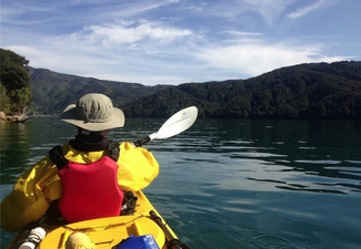 Full-Day Kayak Rental at Marlborough Sounds for Two People