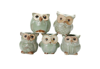 Set of Five Mini Owl Pots
