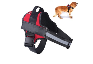 Dog Harness - Five Sizes Available