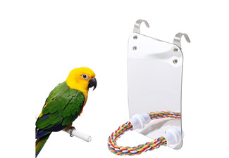 Bird Mirror with Rope Perch