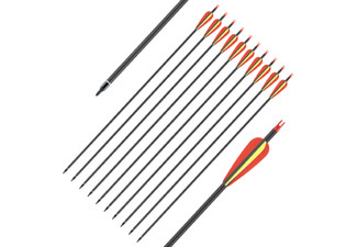 Ten-Piece 70lbs Versatile Carbon Arrow Set