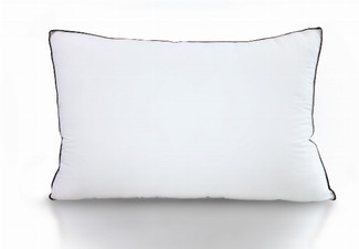 Twin Pack Casa Decor Silk Pillow