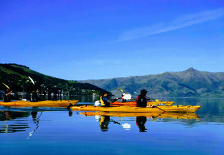 Two-Hour Sea Kayaking Tour in Akaroa for One Person