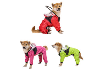 Pet Dog Water-Resistant Raincoat - Available in Three Colours & Eight Sizes