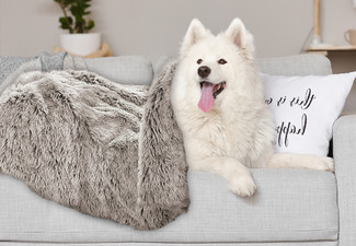 PaWz Dog Warm Plush Blanket - Three Colours Available