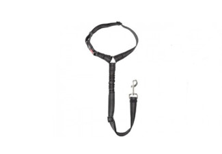 Adjustable Dog Seat Belt with Collar - Option for Two-Pack