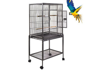 Parrot Cages with Secured Locks