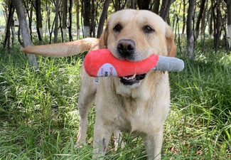 Plush Dog Toy - Three Options Available