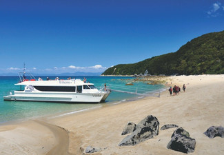 Abel Tasman 'Great Day Out' Cruise & Walk from Wilsons Abel Tasman National Park - Options for Adult & Children Available