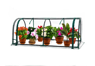 Garden Greenhouse Tunnel