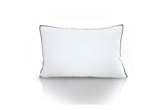 Casa Decor Twin Pack Silk Pillow