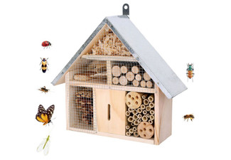 Wooden Insect House