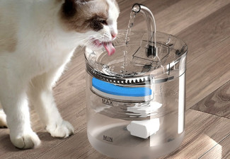 2L Automatic Pet Sensor Drinking Fountain