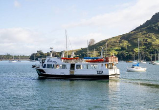 Three-Hour Sunday Afternoon Tauranga Scenic Harbour Cruise for One Adult - Option for Child & Infant