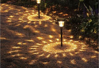 Two-Pack Light & Shadow Solar Lawn Light