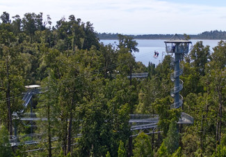 Adult Pass to The West Coast Treetop Walkway - Option for Child Pass