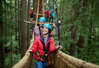 Guided Redwoods Altitude Experience for Adult or Child incl. Ziplining & 25-Metre High Guide