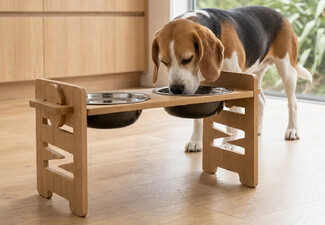 Adjustable Bamboo Raised Double Pet Bowl