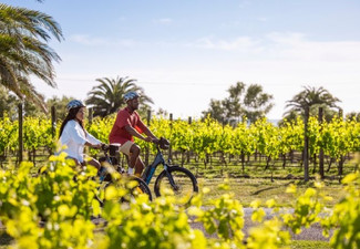 Cape Coast Winery Ride incl. Electric Bike Hire, Transfer Shuttle & "No Worries" Upgrade Package